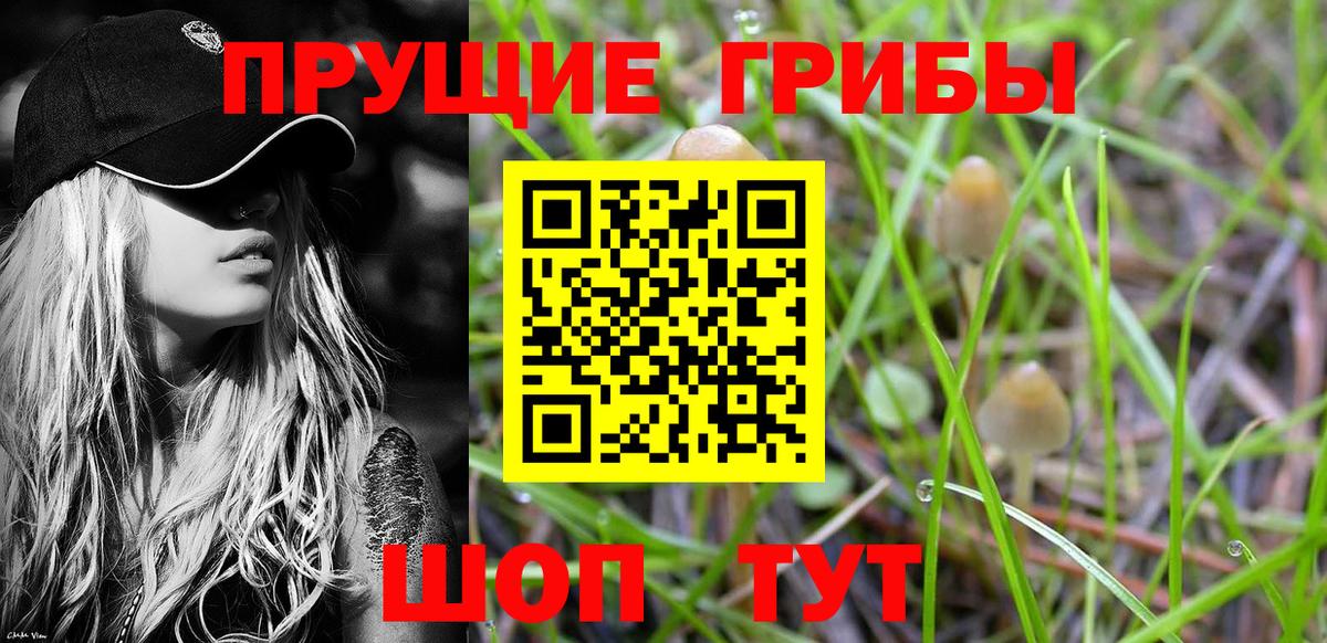 Галлюциногенные грибы мухоморы  Вход с VPN  Кубинка 